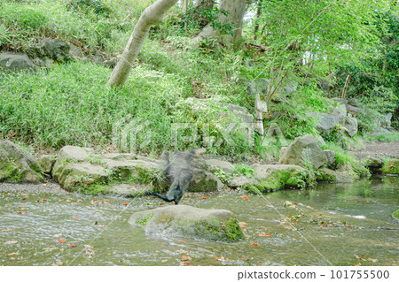 東京公園的風景 101755500