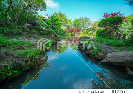 Scenery of a park in Tokyo Scenery of a park in Tokyo 101755503