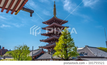 Sensoji temple precinctsSensoji temple precincts 101755521