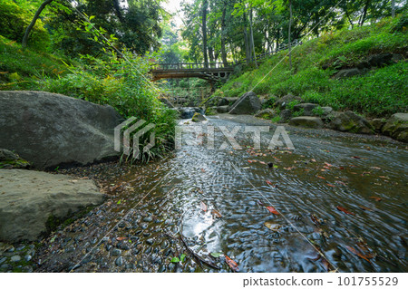 River flow in a park in Tokyo River flow in a park in Tokyo 101755529