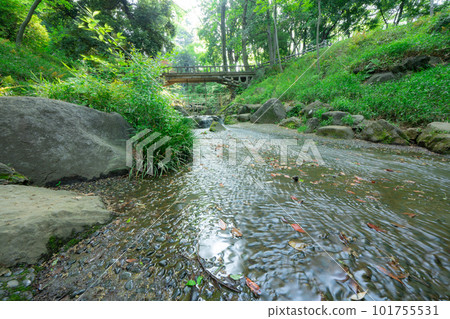 東京公園內的河流 東京公園內的河流 101755531