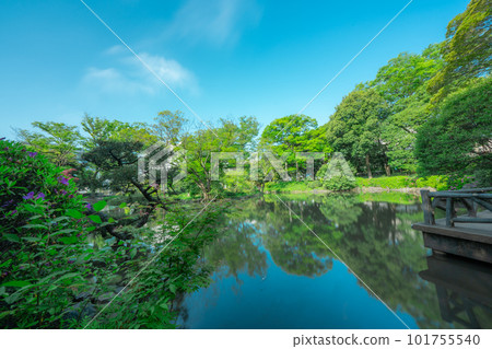 東京公園的風景 101755540