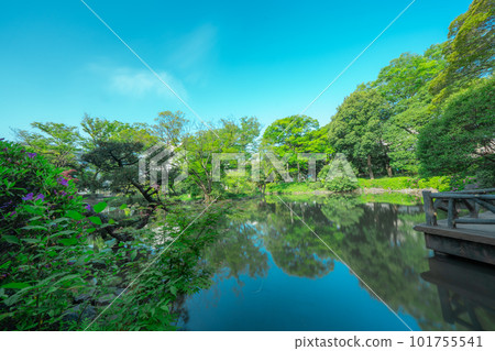 東京公園的風景 東京公園的風景 101755541