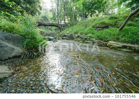 Scenery of a park in Tokyo Scenery of a park in Tokyo 101755546