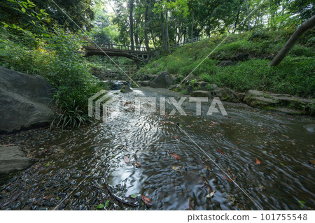 Scenery of a park in Tokyo Scenery of a park in Tokyo 101755548