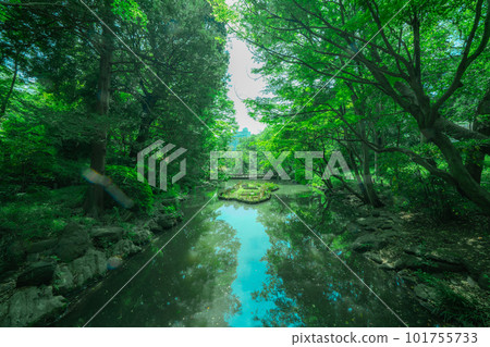 東京公園池塘和天空 101755733