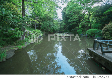 東京公園池塘和天空 101755734