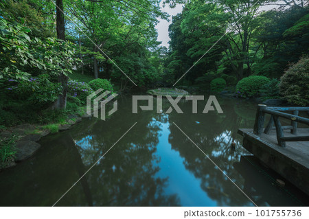 東京公園池塘和天空 東京公園池塘和天空 101755736