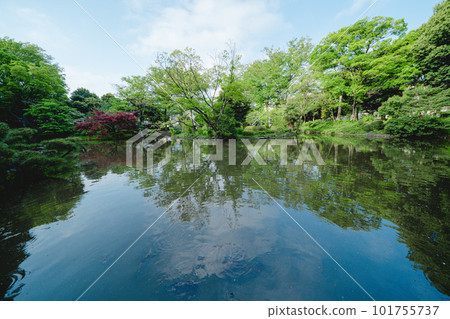 Tokyo park pond and sky Tokyo park pond and sky 101755737