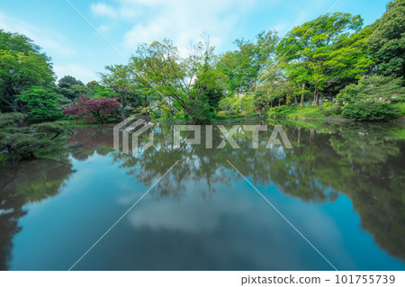 Tokyo park pond and sky Tokyo park pond and sky 101755739