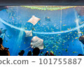Aquarium tank with lots of fish 101755887