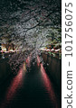 Snow cherry light up at night 101756075