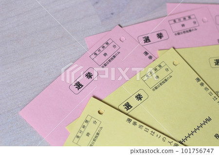 選舉前發送的投票站門票 提前投票的書面宣誓 選舉前發送的投票站門票 提前投票的書面宣誓 101756747