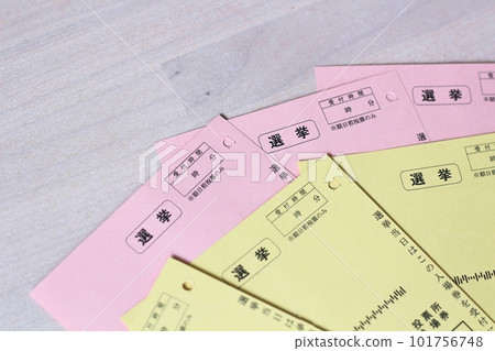 選舉前發送的投票站門票 提前投票的書面宣誓 101756748