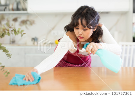 Female housewife cleaning furniture at home kitchen Female housewife cleaning furniture at home kitchen 101757361