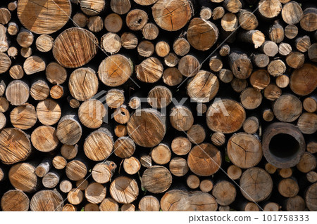 Stacked firewood 101758333