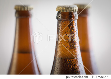 cold bottled beer 101758646