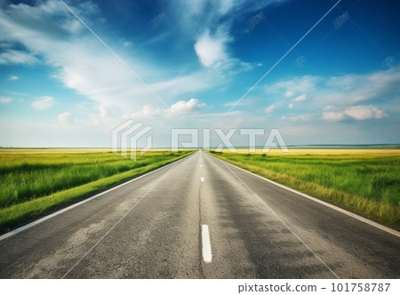 long road covered in morning fog long road covered in morning fog 101758787