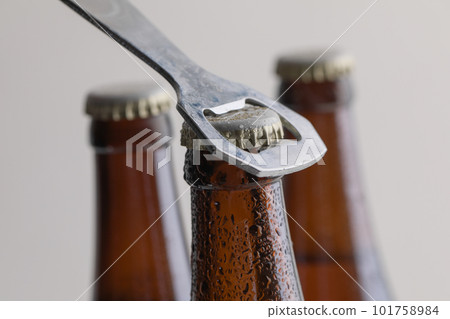 bottled beer 101758984