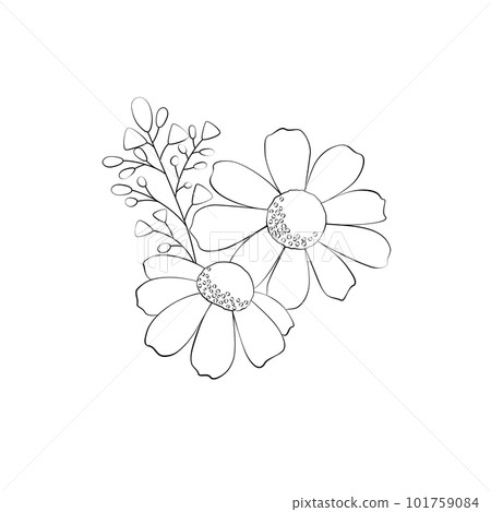 花線藝術。植物插圖 101759084