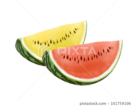 Realistic illustration of cut red and yellow watermelon (watercolor) Realistic illustration of cut red and yellow watermelon (watercolor) 101759106