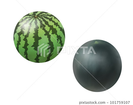 Two types (striped and black) whole watermelon realistic illustration set (watercolor) Two types (striped and black) whole watermelon realistic illustration set (watercolor) 101759107