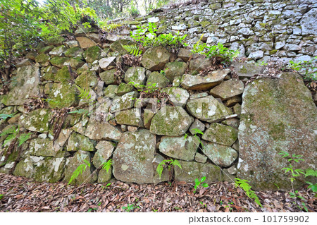High stone walls and enclosures of Bizen "Tokukura Castle" 101759902