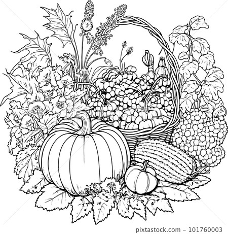 Coloring book with flowers, fruits. Hand drawn zentangle and mandala style,PNG, Transparency, 101760003