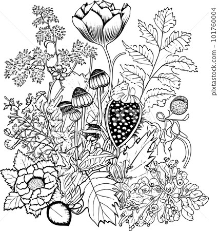 Coloring book with flowers, fruits. Hand drawn zentangle and mandala style,PNG, Transparency, Coloring book with flowers, fruits. Hand drawn zentangle and mandala style,PNG, Transparency, 101760004