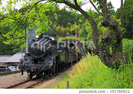 "C10 type" steam locomotive passing through Japan's shortest tunnel "C10 type" steam locomotive passing through Japan's shortest tunnel 101760022