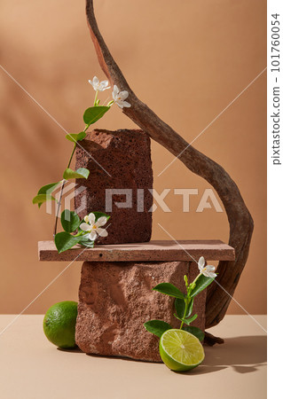 Blocks of stone are stacked with a rectangle podium, arranged with flowers, tree branch and a half of Lime. Empty space to display cosmetic product extracted from Lime (Citrus aurantiifolia) 101760054
