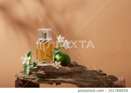 Close up view of a tree branch with Lime, several white flowers and a perfume glass bottle containing yellow liquid of Lime (Citrus aurantiifolia) extract. Empty label for branding mockup 101760056