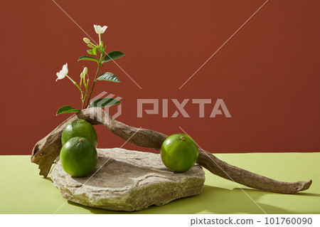 Minimal concept for beauty products with lime ingredients presentation with stone podium, flower branch, dry twig and fresh lime decorated on color background. Front view, copy space Minimal concept for beauty products with lime ingredients presentation with stone podium, flower branch, dry twig and fresh lime decorated on color background. Front view, copy space 101760090