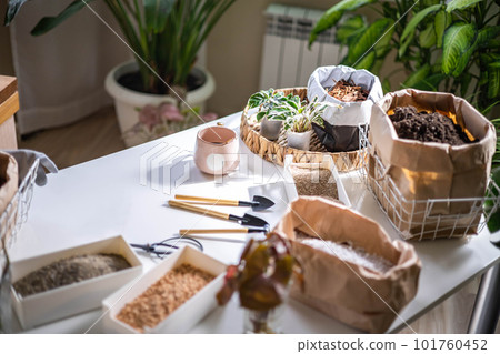 Table with fillers for houseplant transplant in boxes and paper bag gardening hobby top view 101760452