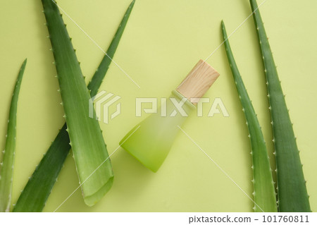 Cosmetic container with wooden cap without label decorated with Aloe vera leaves. Aloe vera (Aloe barbadensis miller) can be used as a natural moisturizer for skin and body Cosmetic container with wooden cap without label decorated with Aloe vera leaves. Aloe vera (Aloe barbadensis miller) can be used as a natural moisturizer for skin and body 101760811