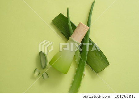 A gradient beauty cosmetic container leaning on Aloe vera leaves. Aloe vera (Aloe barbadensis miller) gel helps to keep the skin hydrated and heals burns 101760813