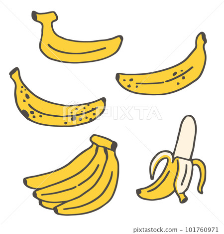 Illustration of various bananas 101760971