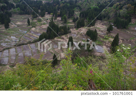 與梯田一起生活 101761001