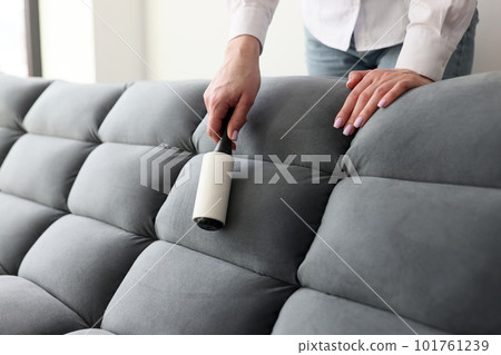 Young woman hand cleans grey sofa using lint roller 101761239