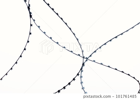 barbed wire on a white background 101761485