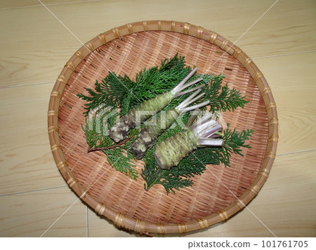 Fresh wasabi and hiba leaves from Shizuoka prefecture are served in a tray 101761705