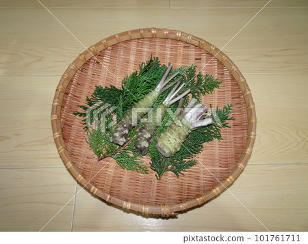 Fresh wasabi and hiba leaves from Shizuoka prefecture are served in a tray 101761711
