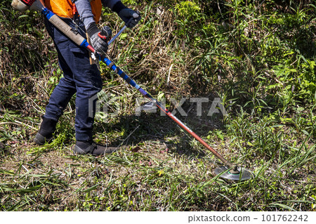 Male gardener trimming overgrown weeds with an electric mower Male gardener trimming overgrown weeds with an electric mower 101762242