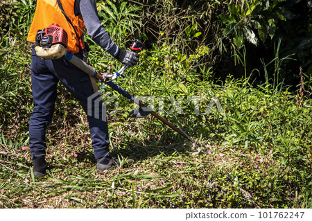 男園丁用電動割草機修剪雜草 男園丁用電動割草機修剪雜草 101762247