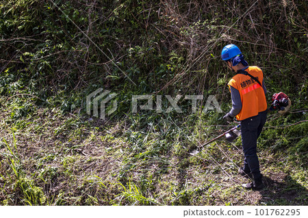 男園丁用電動割草機修剪雜草 男園丁用電動割草機修剪雜草 101762295