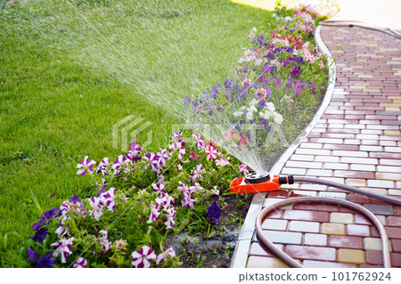 Automatic watering system on the lawn. watering heads and pipes Automatic watering system on the lawn. watering heads and pipes 101762924