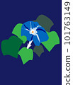 morning glory art single item blue 101763149