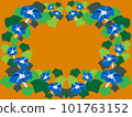 morning glory collection retro 101763152