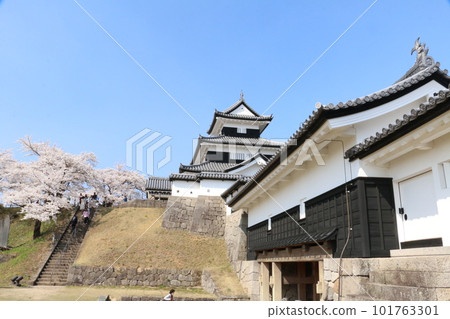 Shirakawa Komine Castle, a famous cherry blossom spot that became the stage of the Boshin War Shirakawa Komine Castle, a famous cherry blossom spot that became the stage of the Boshin War 101763301