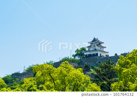 Marugame Castle Marugame Castle 101764132